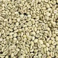 دان سبز قهوه ویتنام چری پی بی اندونزی اوگاندا