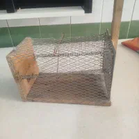 تله موش|لوازم نظافت|پاکدشت, پاکدشت (مامازند)|دیوار