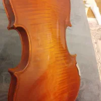 ویولن حرفه ای|ویولن|گلپایگان, |دیوار