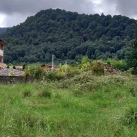 ویلا ۳۳۰ متر جنگلی ویو ابدی|فروش خانه و ویلا|نشتارود, |دیوار