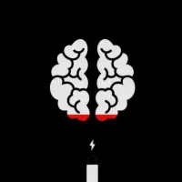 آموزش تخصصی نقشه مغزی