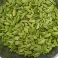 باقالی سبز تازه