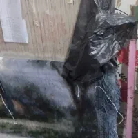 تابلو فرش دستباف با بالاترین دستمزد|تابلو فرش|سنندج, |دیوار