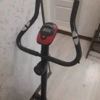 دوچرخه در جا در حد