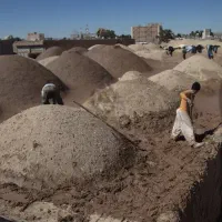 کاهگل پشت بام