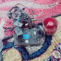 دزد گیر مجیکار