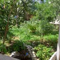 ۳۴۸ متر ویلایی بوستان پارک ملت احمدزاده امین ضرب