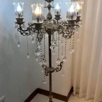کنار سالنی ۷ شاخه