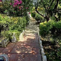 فروش باغ ویلا|فروش خانه و ویلا|لیسار, |دیوار