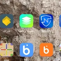 جایزه بلو بانک  1405