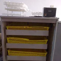 دستگاه جوجه کشی|ماشینآلات صنعتی|کازرون, |دیوار