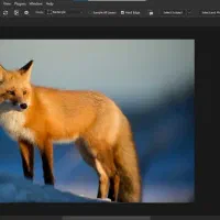 آموزش فتوشاپ، حرفه ای|خدمات آموزشی|میبد, |دیوار