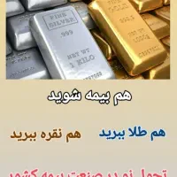 بیمه عمر و سرمایه گذاری بر اساس نقره و طلا|خدمات مالی، حسابداری، بیمه|یزد, |دیوار