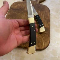 چاقو جیبی باک 110