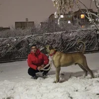 واگذاری سرابی خالص