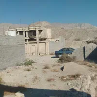 ملک-فروشی