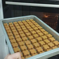 آموزش شیرینی خشک|خدمات آموزشی|لاهیجان, بوجایه|دیوار