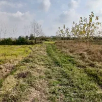 ۱۲۰۰۰mزمین کشاورزی مناسب شالیزارباغ کیوی/گلخانه|فروش دفتر صنعتی، کشاورزی، تجاری|خشکبیجار, |دیوار
