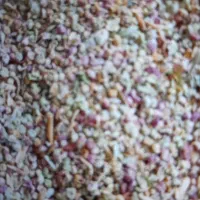 تخم جارو برای تمیزی ونطافت