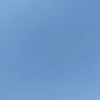پارتنر ورزشی