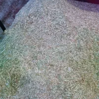 ذرت علوفه ای .کاه گندم ..کو.|خدمات باغبانی و درختکاری|دوزین, |دیوار