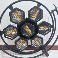 دو عدد زنبوری بزرگ گلداستار