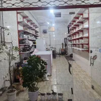 اجاره مغازه در فلکه سونا|اجارهٔ مغازه و غرفه|آذرشهر, |دیوار