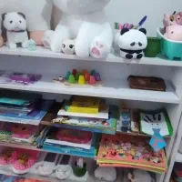 شلف ام دی اف