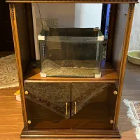 دکور تمام چوب