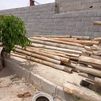 خرید انواع چوب