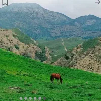 طبیعت گردی گردشگری مشهد