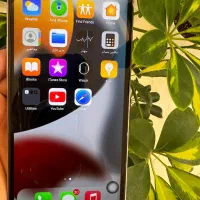 ایفون ۱۳پرومکس فیک|موبایل|رشت, فلسطین|دیوار