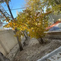 اجاره باغ ویلا|اجارهٔ خانه و ویلا|تهران, آبشار تهران (دریاچه)|دیوار