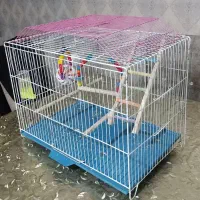 عروس هلندی و قفس