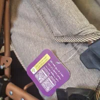 کالسکه و کریر برند اصلی دلیجان|کالسکه و لوازم جانبی|کرج, فاز ۴ مهرشهر|دیوار