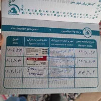 سگ بیت بول|سگ|مشهد, قائم|دیوار