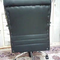 صندلی گردون|صندلی و نیمکت|نسیم‌شهر, |دیوار