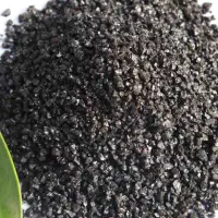 بمب انرژی گیاهان و درختان رسید