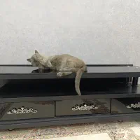 میز تلوزیون|میز تلویزیون|ارومیه, |دیوار