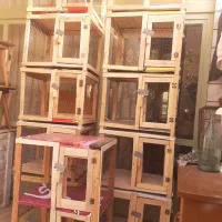 قفس کاملا چوبی محکم وبا کف سه لای
