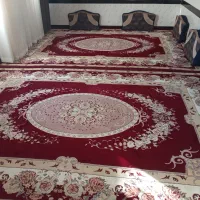 سلام فرش سالم نو نو هرکس خواست درخدمتم...|فرش|تربت جام, جامرود|دیوار