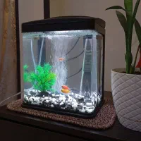 آکواریوم شرکتی