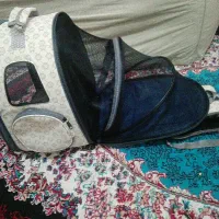 مقداری وسایل گربه به فروش میرسد