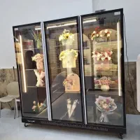 یخچال گل فروشی میوه فروشی
