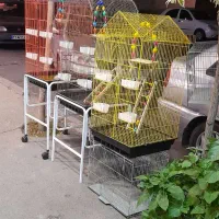 پرنده سرای طوطیاهشتگرد