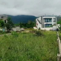 فروش فوری 320متر زمین بافت زرد سندتک برگ با چک