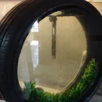 آکواریوم طرح لاستیک|ماهی|همدان, |دیوار