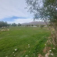 زمین سعید اباد