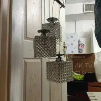 یک عددلوسترسه شاخه خوشکل