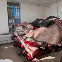 فرش کهنه عمده|فرش|کوه چنار, |دیوار